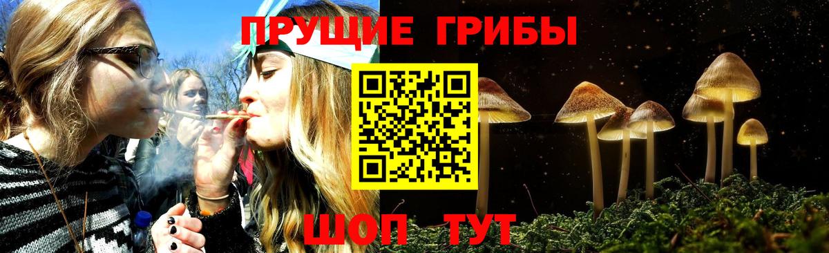 Галлюциногенные грибы Magic Shrooms Гусиноозёрск